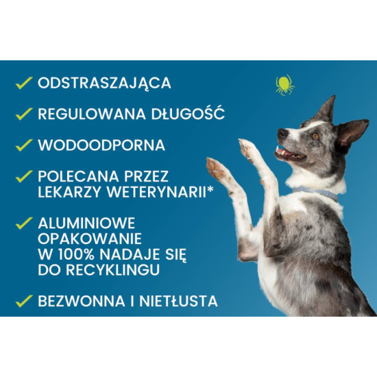 BAYER Foresto Obroża na pchły i kleszcze dla psa powyżej 8kg 70cm